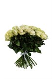51 белая роза Мондиаль 50 см 2479_1407B