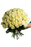 51 белая роза Мондиаль 50 см 2479_1407B