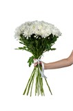 Букет Белых кустовых хризантем Балтика 15 шт 2427